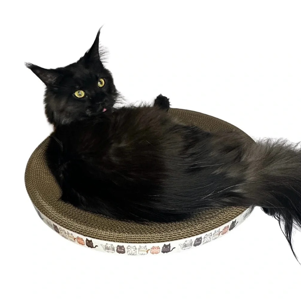 Cat Print Round Scratching Pad